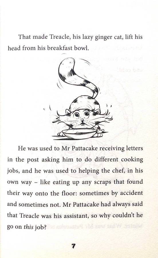 Mr Pattycake and the Skiing Mystery - Image 2