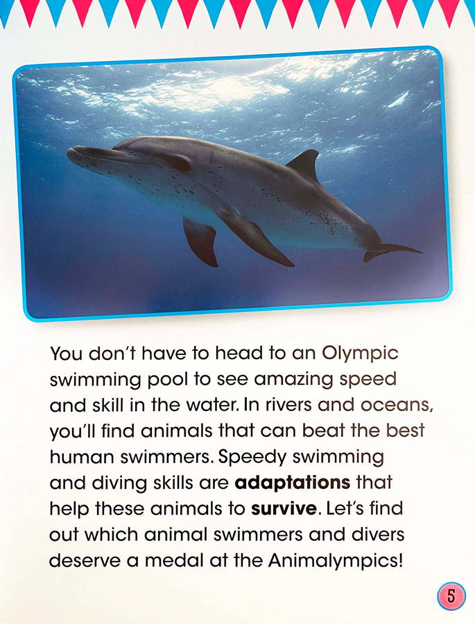 Animal Swimming and Diving - Image 2