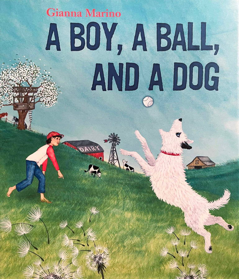 A Boy , A Ball and a Dog