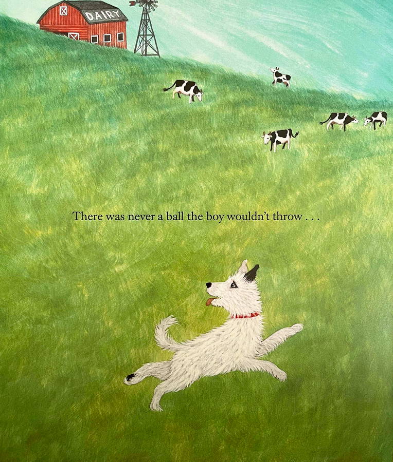 A Boy , A Ball and a Dog - Image 2