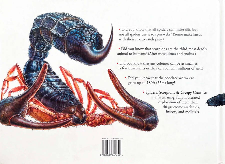 Spider Scorpions & Creepy Crawlies - Image 3