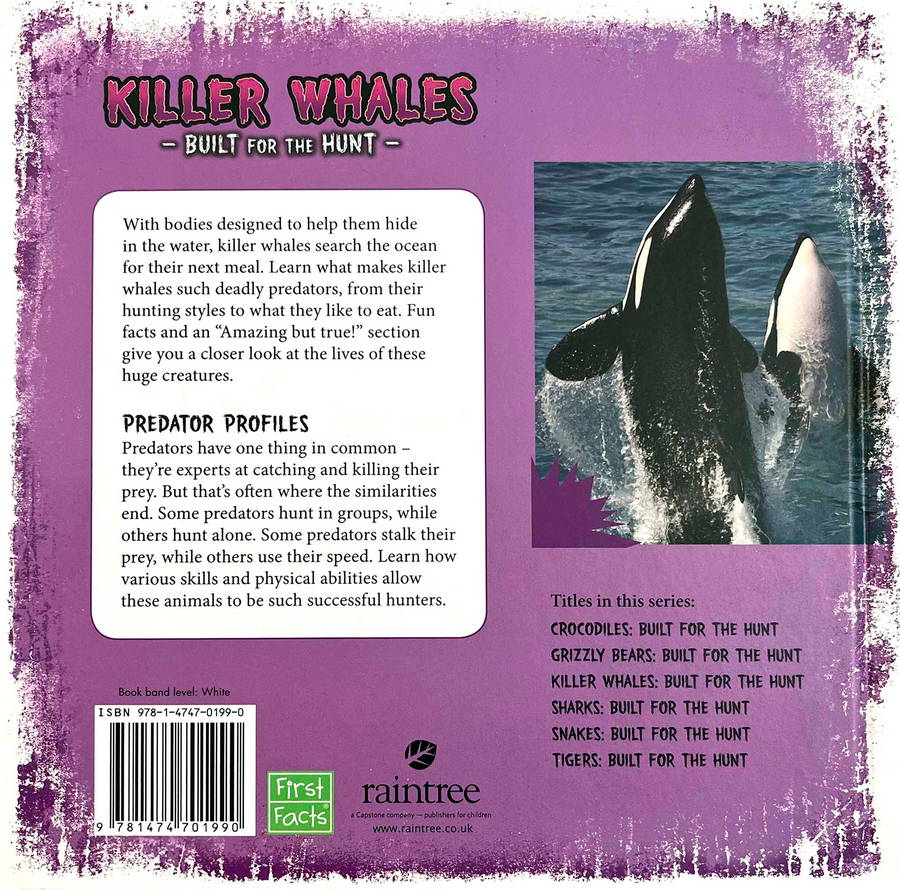 Killer Whales - Built for the Hunt - Image 3