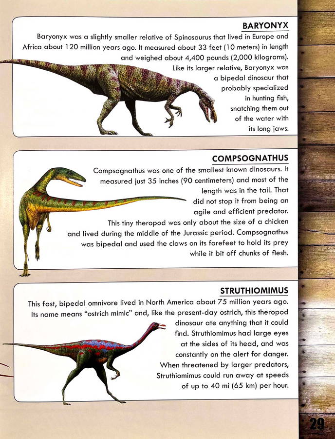 Deadly Animals - Image 2